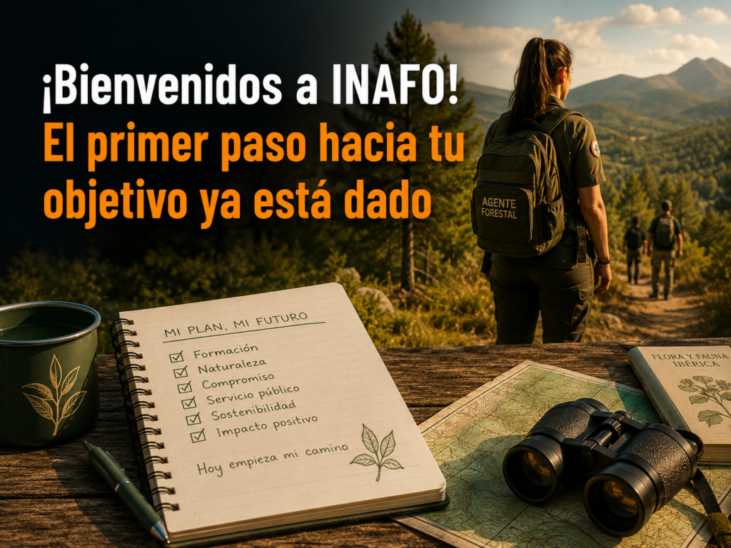 24f8548f F128 47e7 927b F84ff44c9984
